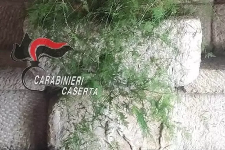 Sarcofago romano murato nel ristorante: denunciato il titolare - 