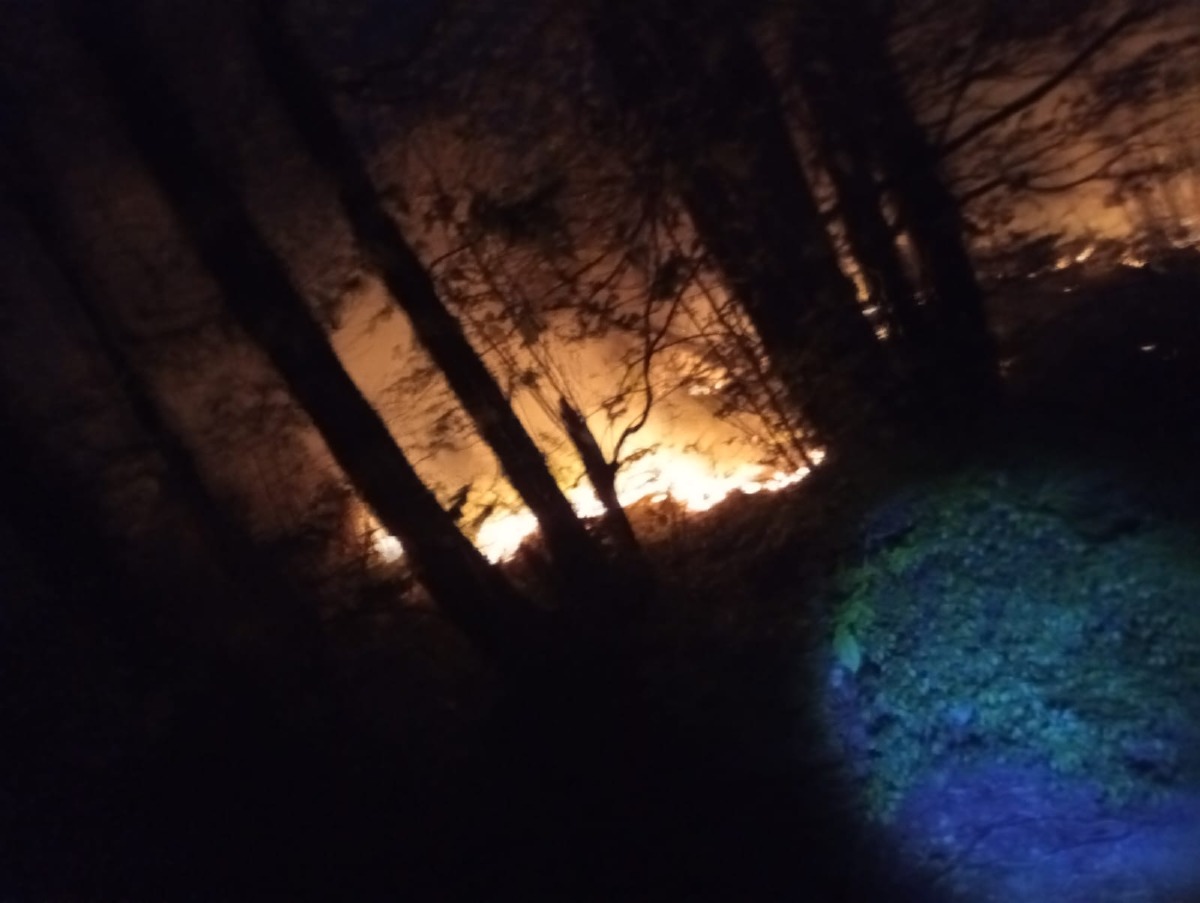 Incendio tra Cervinara e Rotondi: intervento della Protezione Civile - 