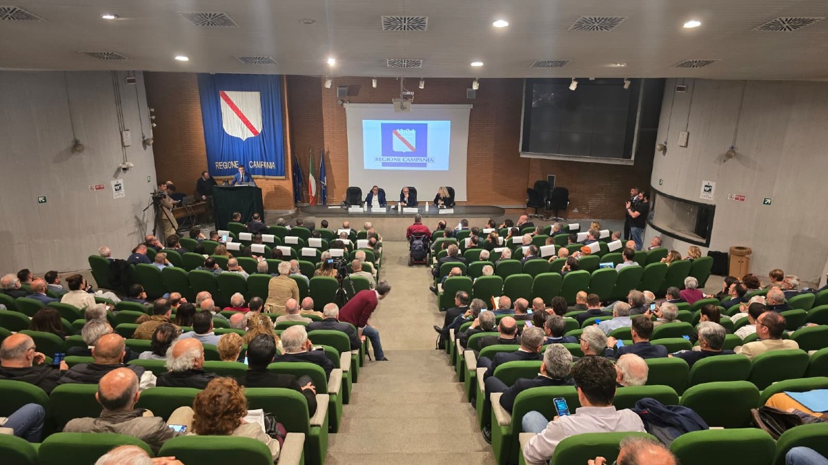 Campania: al via la nuova Consulta Regionale per la Mobilità - 