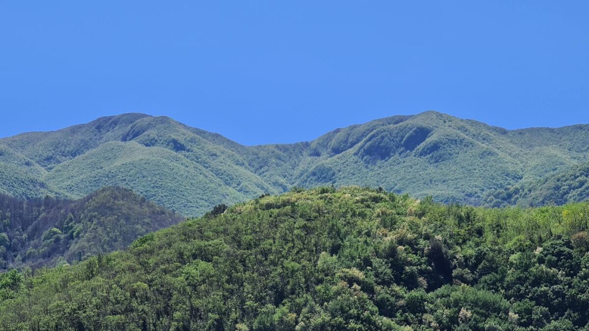 Cervinara, Ore di Ansia in Montagna: Ricerche Ininterrotte, ma l'Identità del Disperso resta un Rebus - 