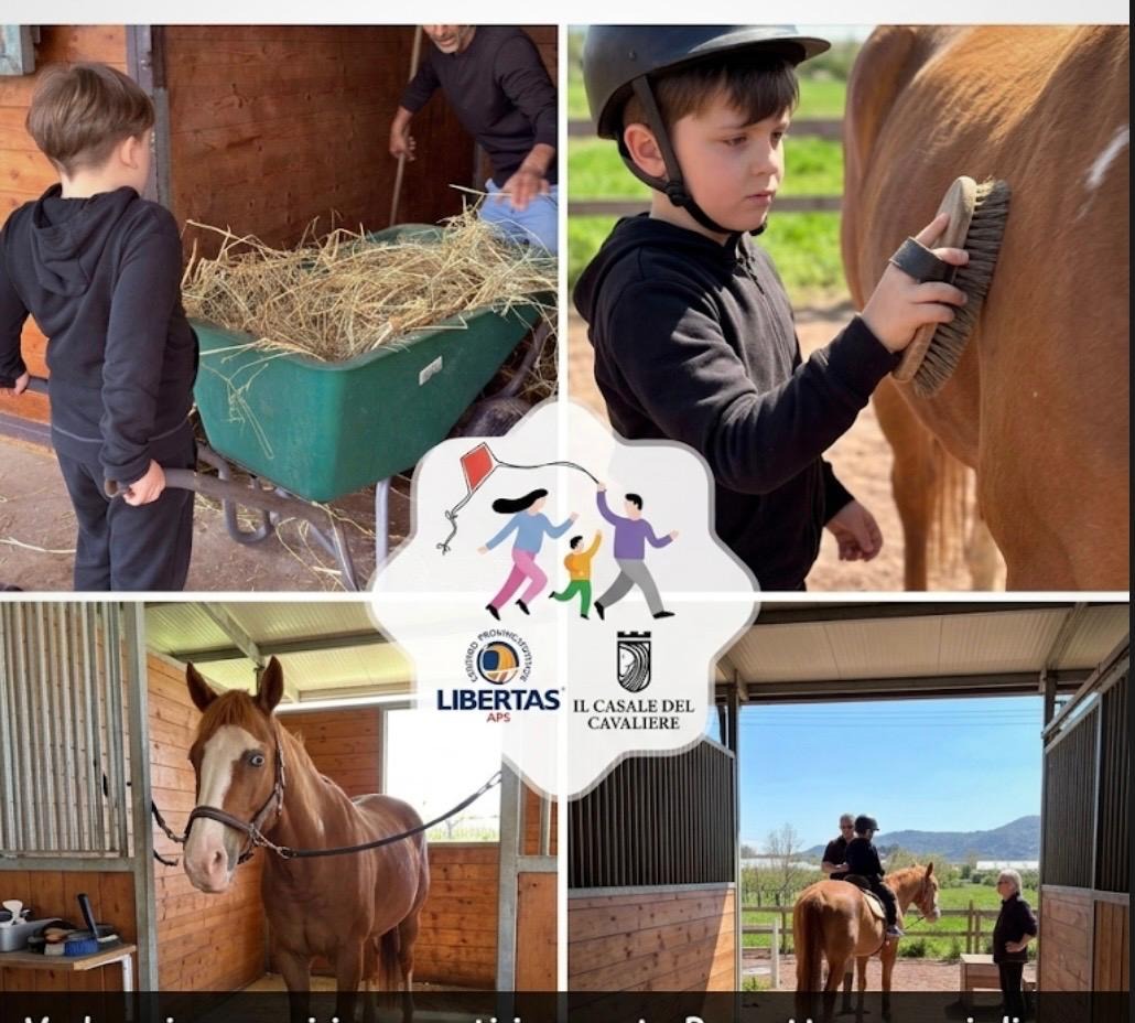 Ciascuno cresce solo se sognato