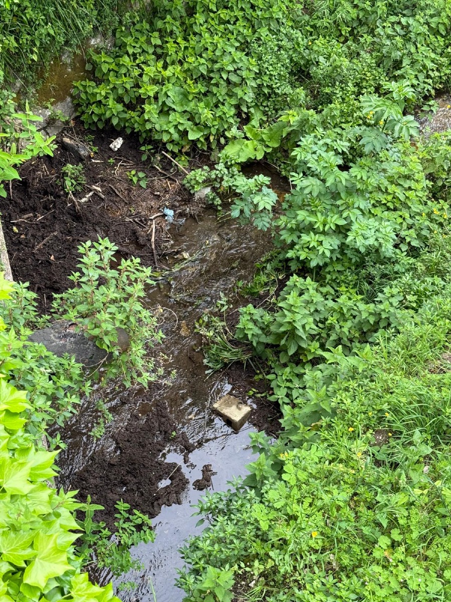 TORRENTE PIROZZA SOPRALLUOGO