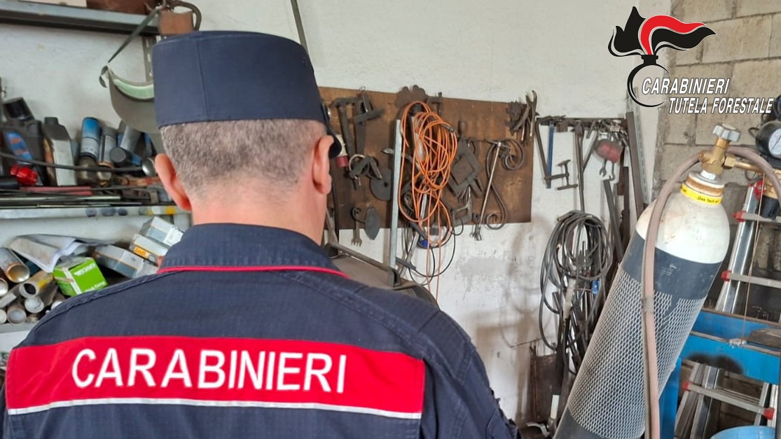 Inquinamento e abusivismo: tre denunce nel territorio avellinese - 