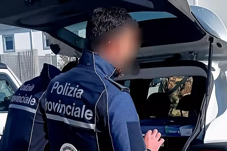Cucciola investita muore:  rischia 7 anni per l'abbandono - 