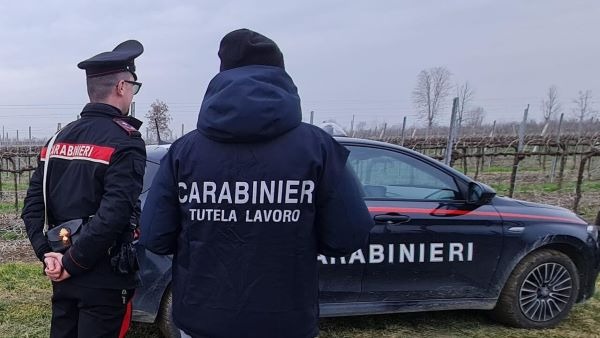 Caporalato e sicurezza: maxi controlli dei Carabinieri nel Beneventano - 