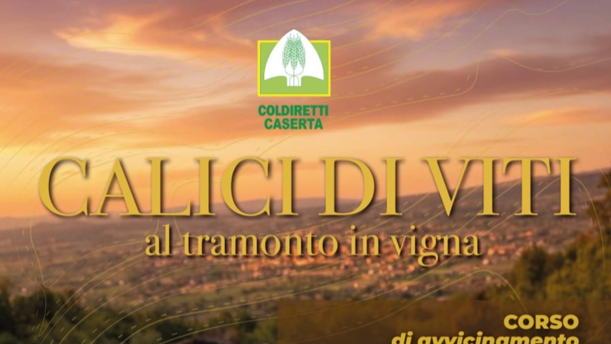 Calici di Viti: il vino campano si racconta al tramonto - 