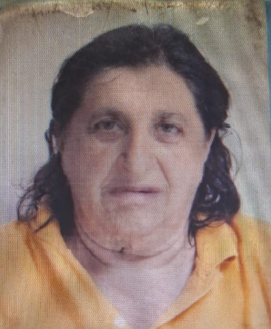 Pietrastornina. Ritrovata viva nei boschi: sta bene la donna scomparsa - 