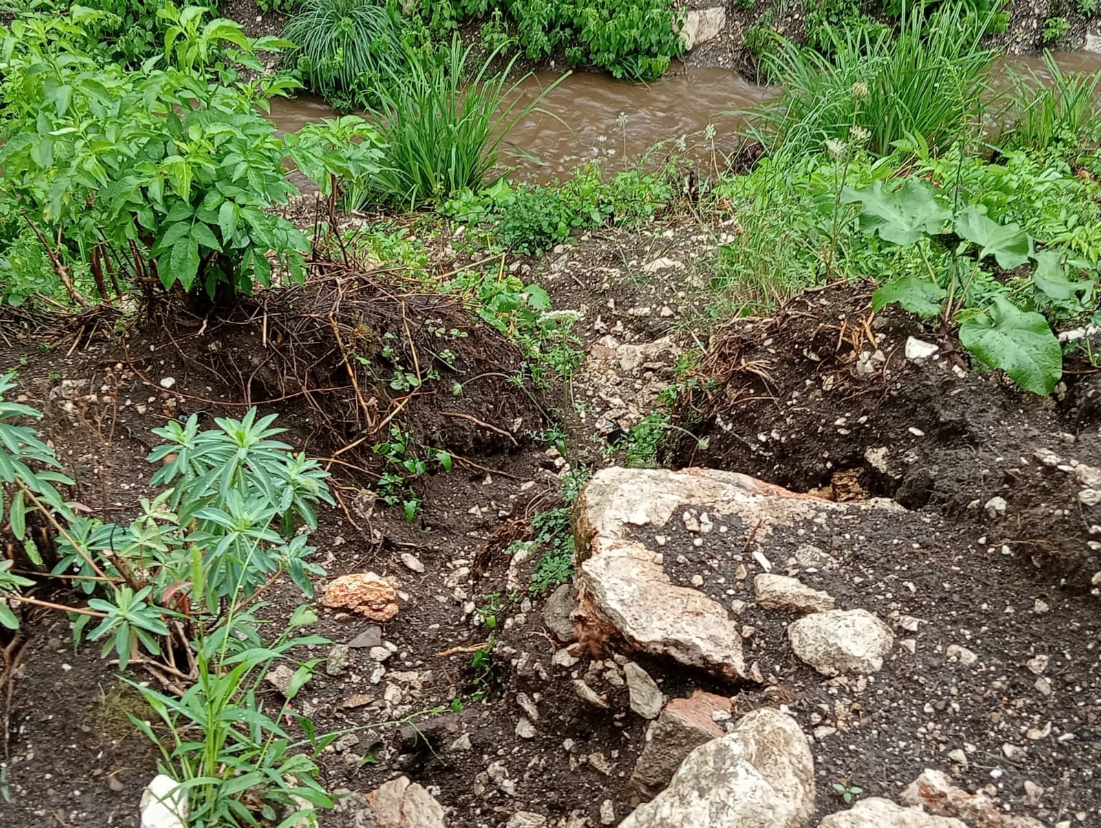 Cervinara. Lavori pulitura del Torrente Pirozza saranno effettuati dalla Regione Campania - 