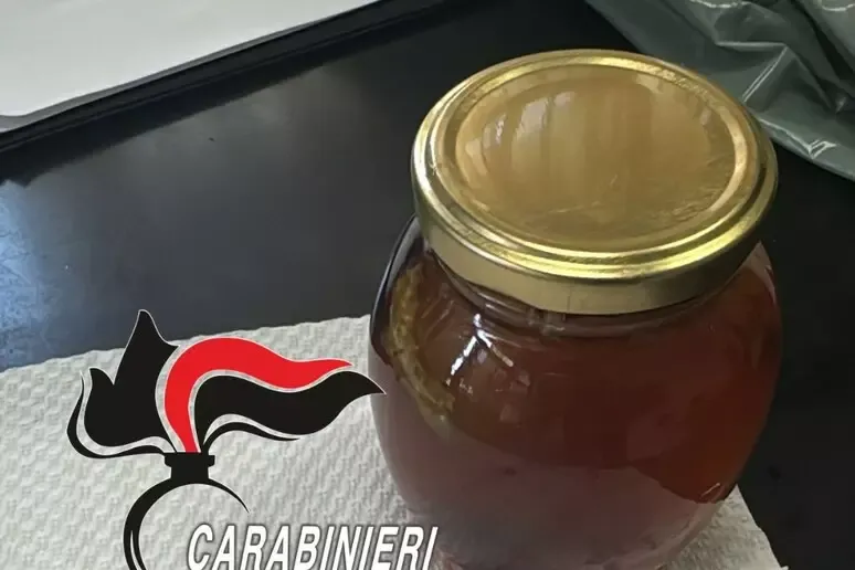 "Miele da sballo": un 17enne lotta tra la vita e la morte - 