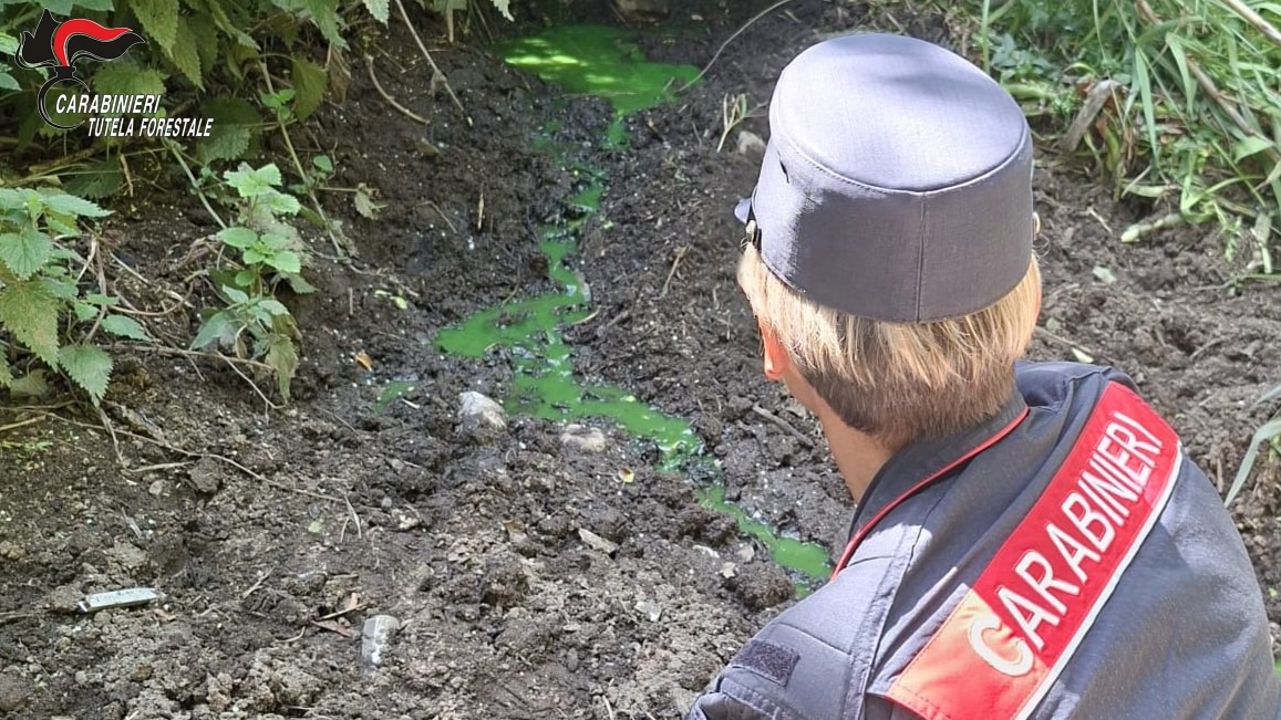 Fiume Sarno: blitz ambientale a Montoro, scoperti scarichi abusivi nel torrente - 