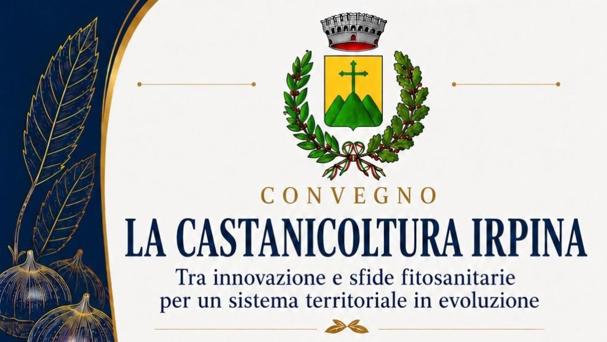 Castagne d'Irpinia: a Monteforte si progetta il rilancio - 