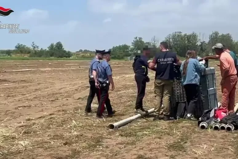 Blitz nei Campi Flegrei: Colpo al Caporalato e allo Spaccio - 