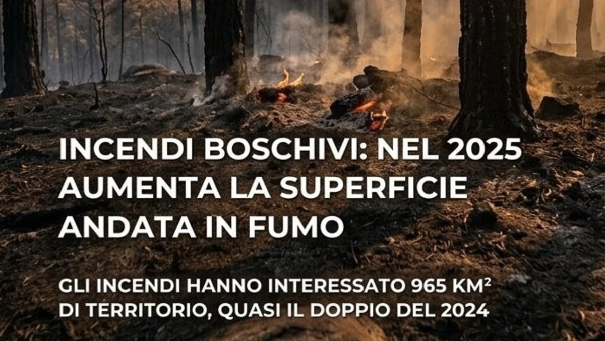 L'Italia brucia: foreste raddoppiate in fumo, serve prevenzione - 