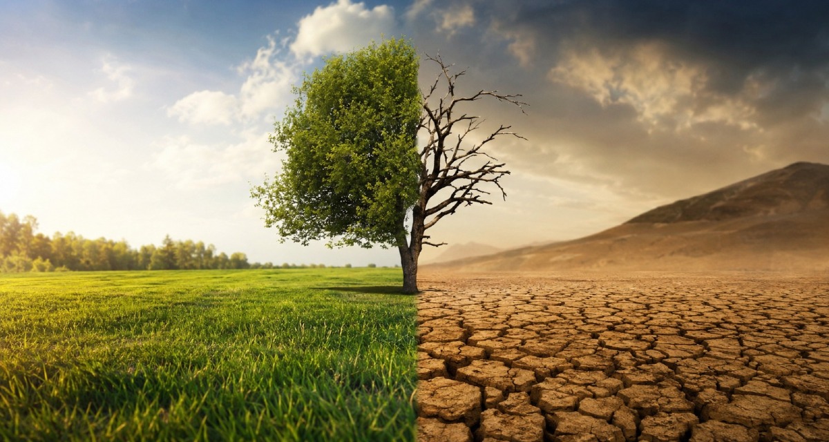 Se la Terra perde terreno: la lotta alla desertificazione - 