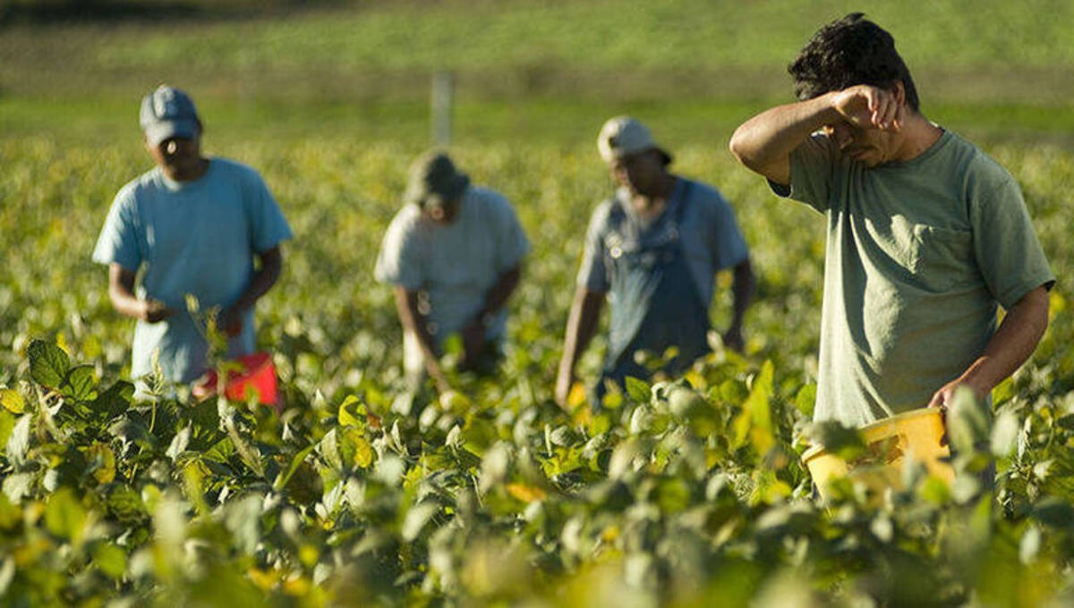 Campania, stop ai lavori sotto il sole: scatta l'ordinanza anti-caldo - 