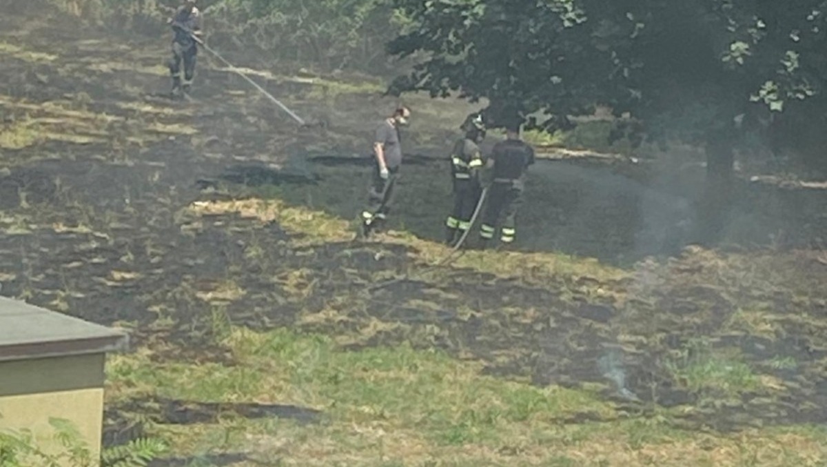 Cervinara. Incendio al Parco degli Ulivi: fiamme nel verde, intervengono i Vigili del Fuoco - 