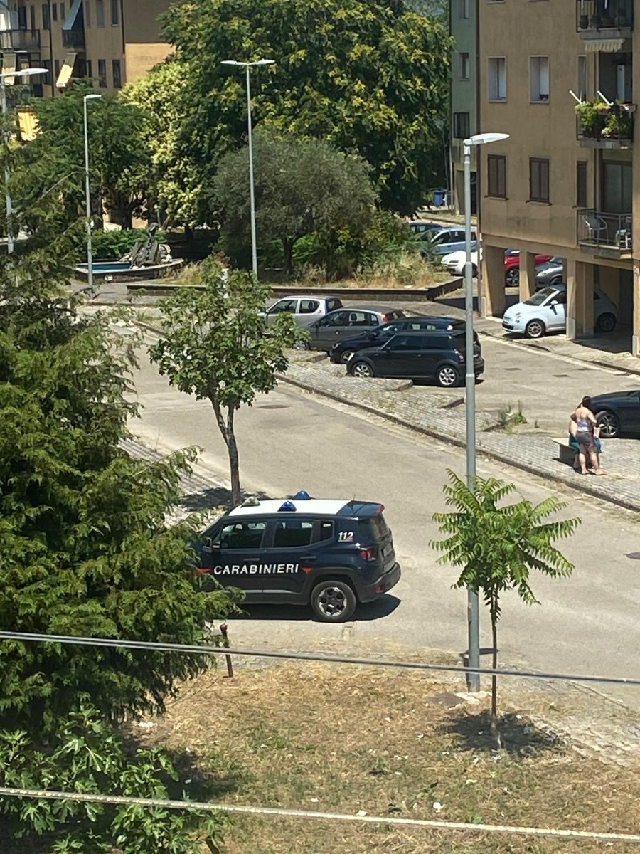 Incendio Parco degli Ulivi