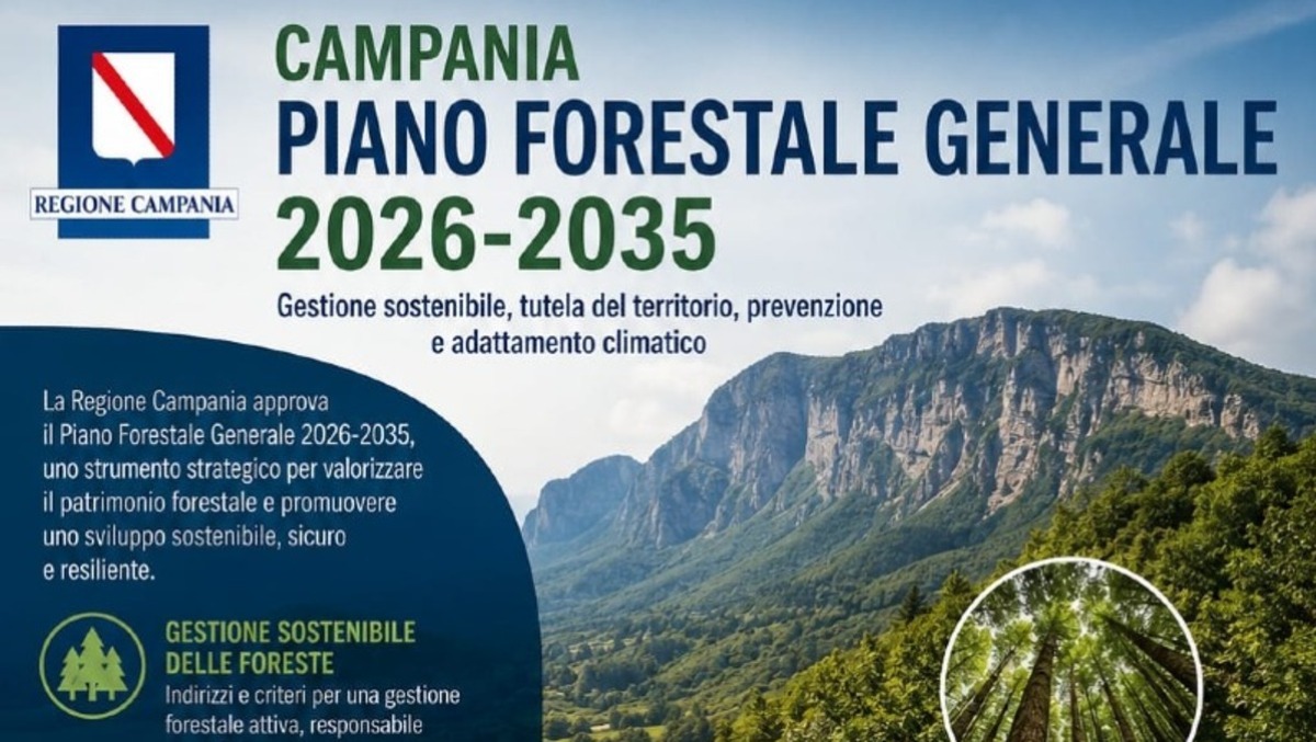 Campania: il nuovo Piano Forestale Generale 2026-2035 - 