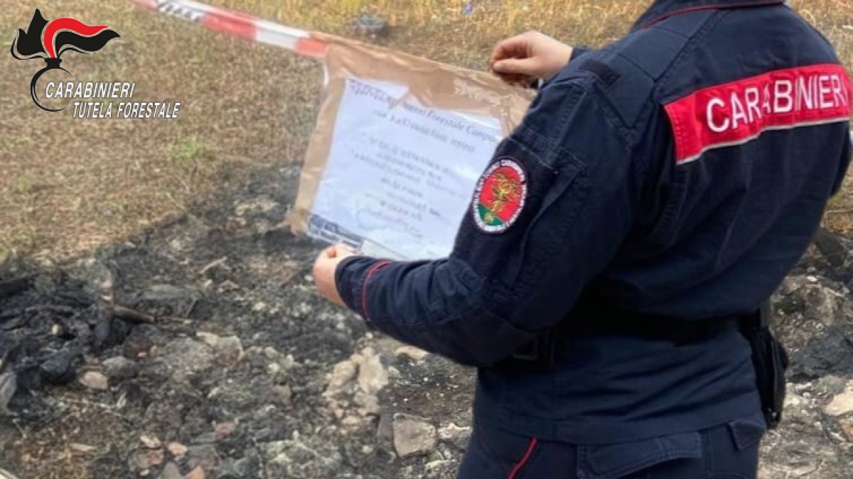 Reati ambientali nell'Avellinese: denunciati due imprenditori - 