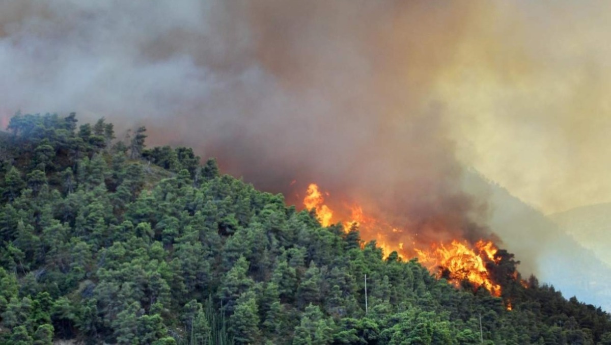Incendi, la Campania cambia passo: approvato il piano hi-tech 2026-2028 - 