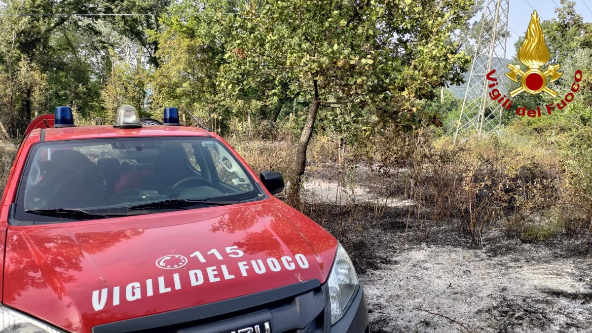 Inferno d'estate in Irpinia: ettari di bosco in fiamme - 