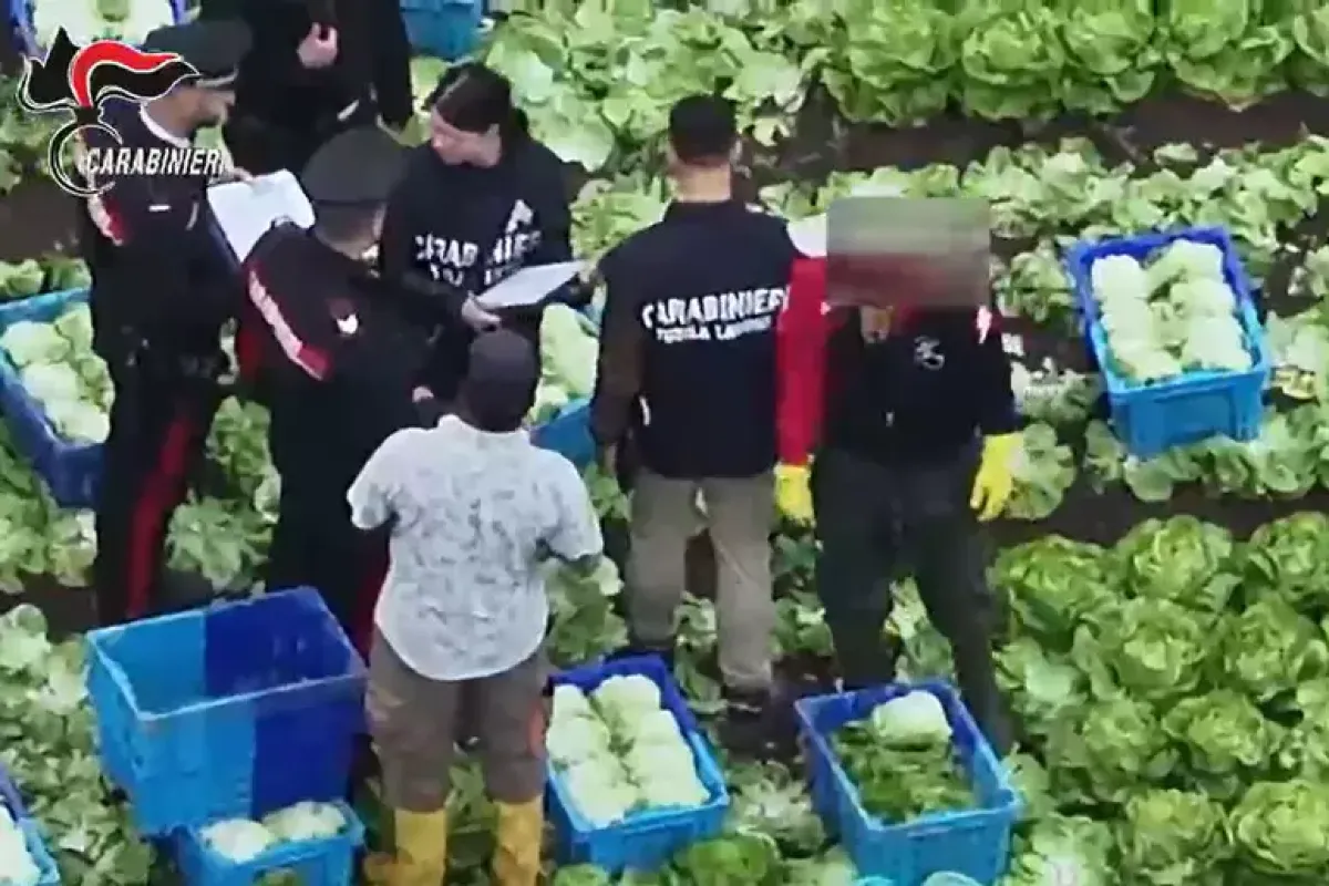 Schiavi nei campi: 3 euro l'ora sotto la pioggia e tra i pesticidi - 