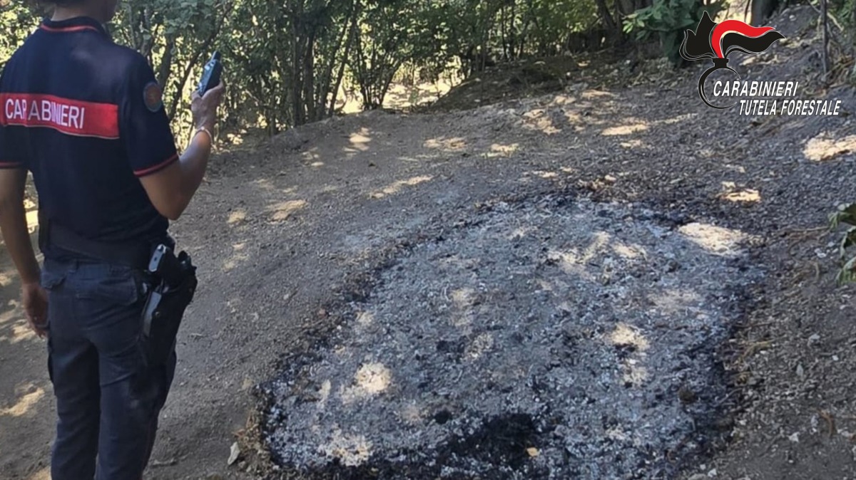 Incendi e roghi agricoli: scattano le prime sei denunce in Irpinia - 