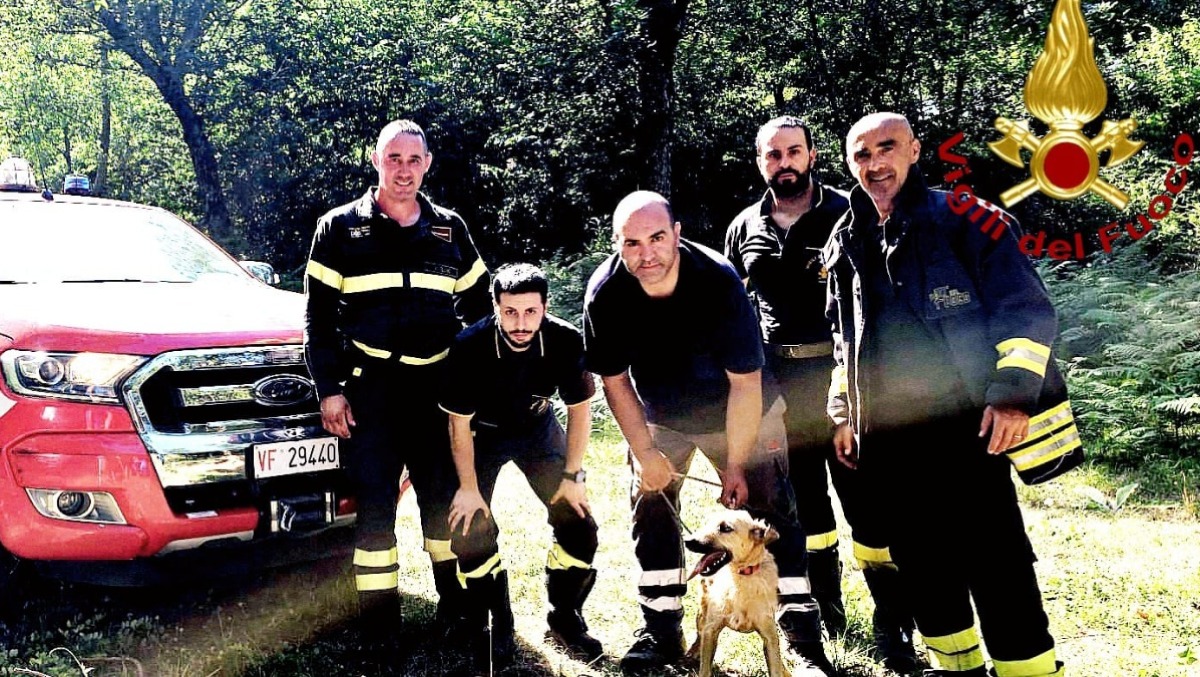 Lieto fine a Volturara: Giorgio il segugio tratto in salvo dai Vigili - 