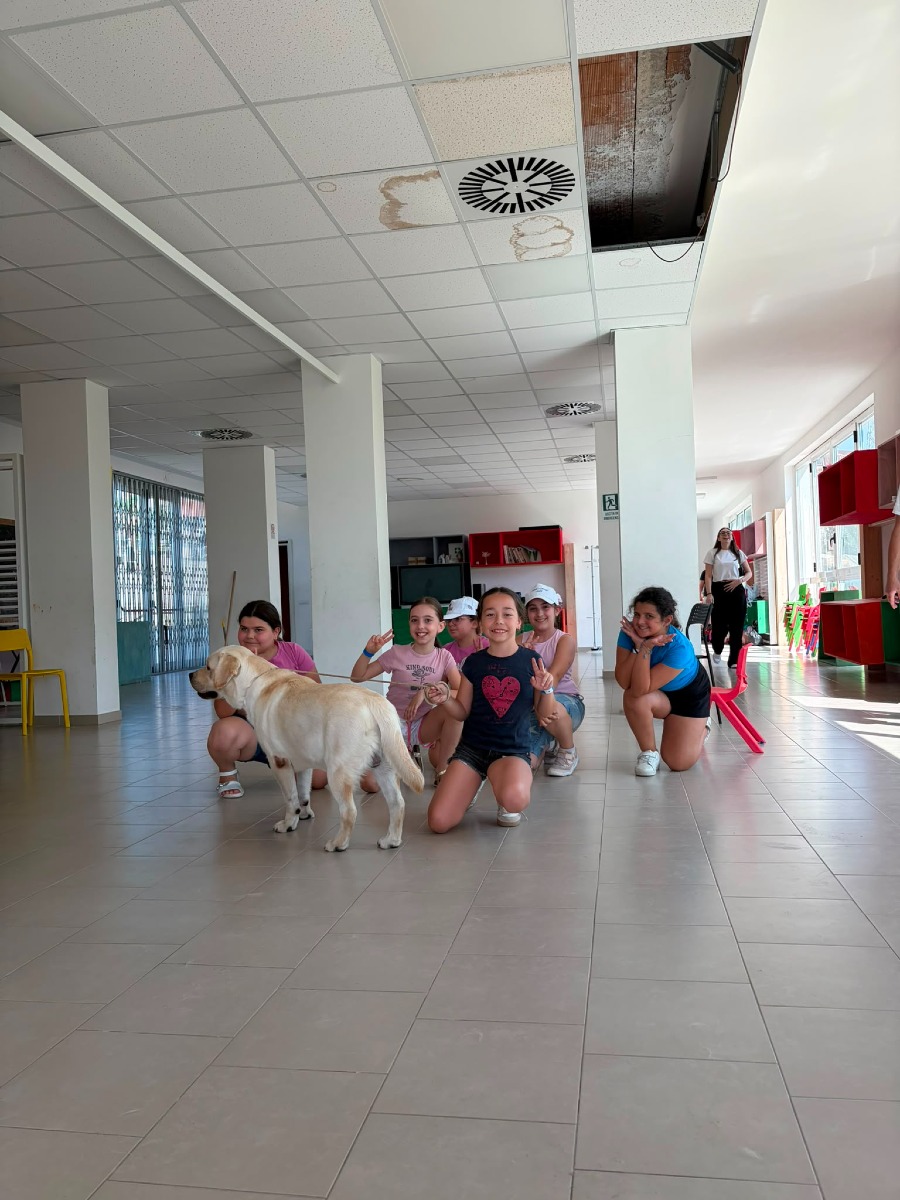 Estate a Montesarchio con Labrador di Franco Picca