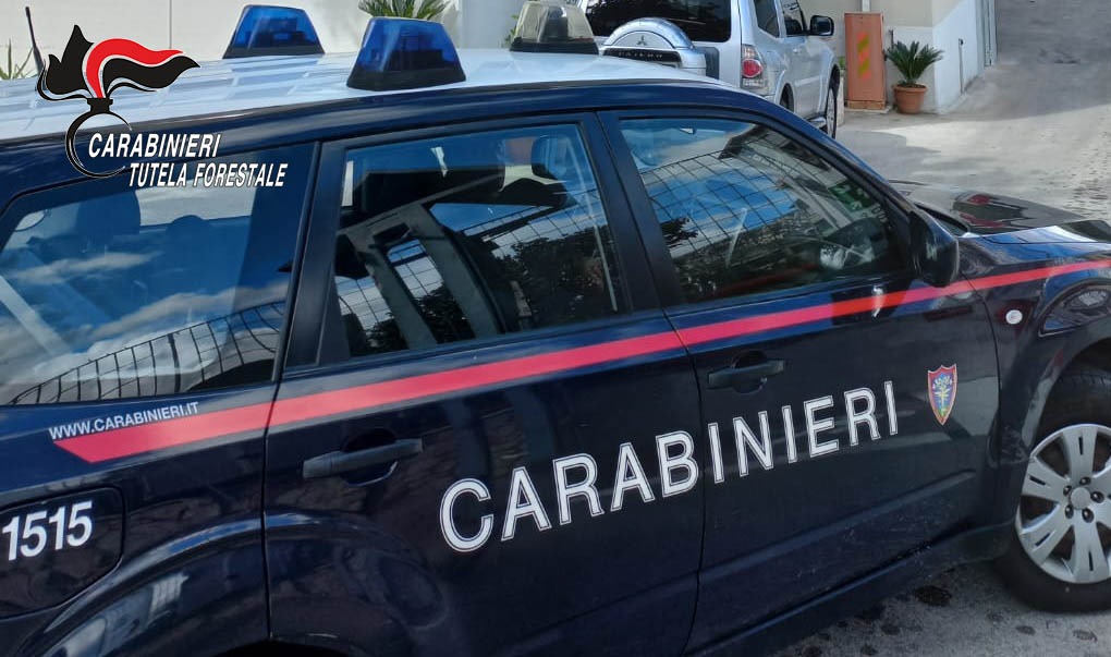 Domicella, scoperta area usata come deposito abusivo di rifiuti: due denunce - 