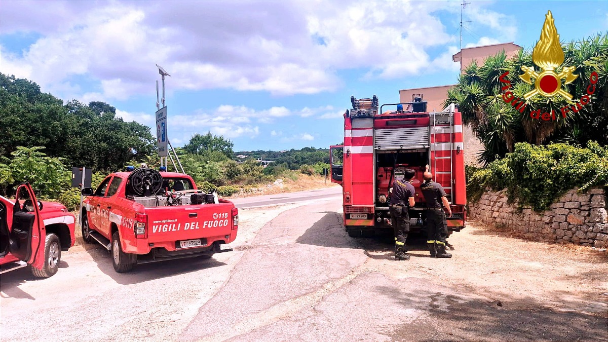 Capaccio Paestum, 84enne scompare nei campi: in corso le ricerche di Rosa Sabato - 