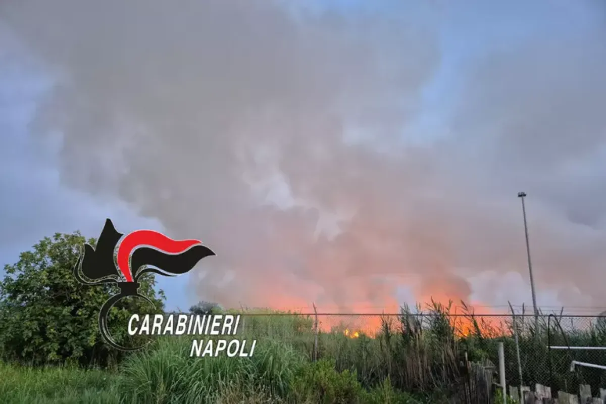 Brucia qualche foglia e devasta 7 ettari: arrestato 52enne a Pozzuoli - 