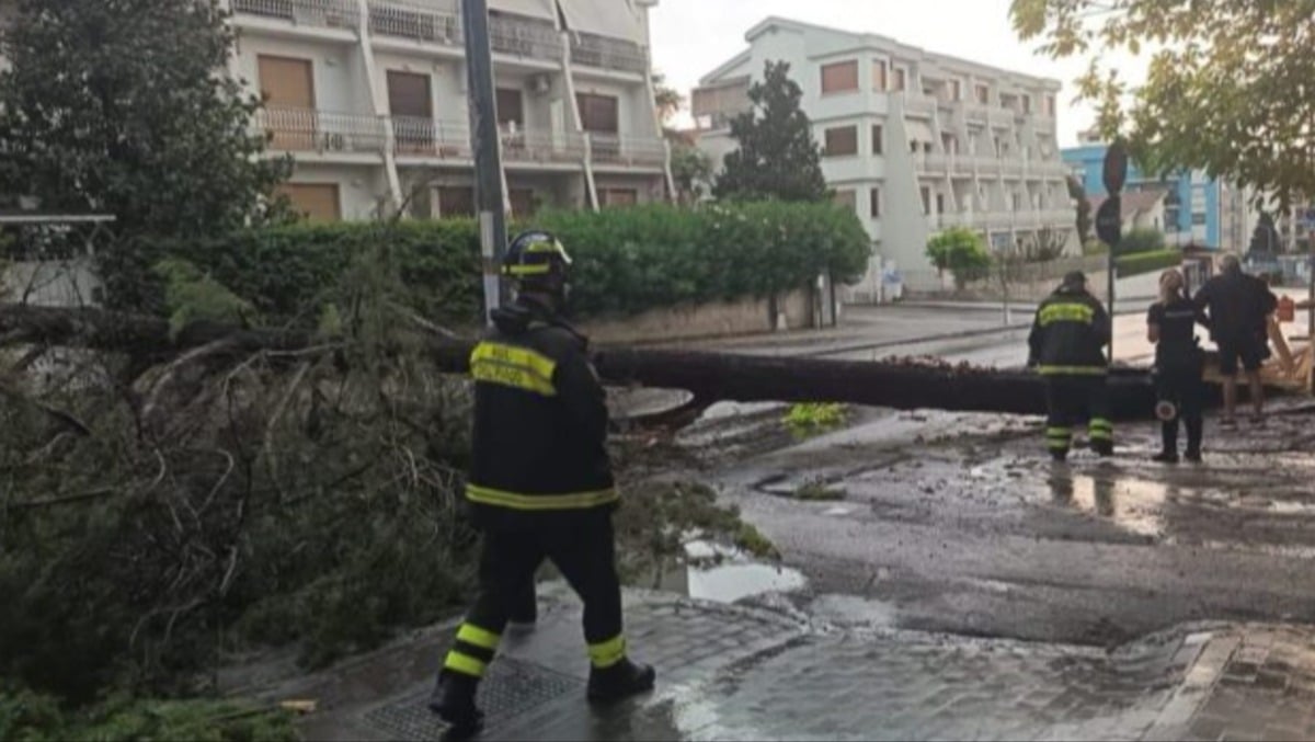 Benevento, temporale e raffiche di vento: alberi sradicati e danni ai tetti - 