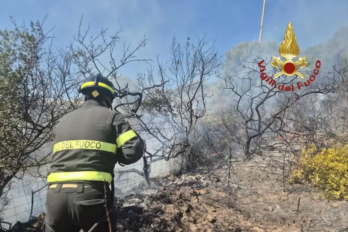 Notte di fuoco nell'Irpinia: maxi incendio tra Villanova e Ariano - 