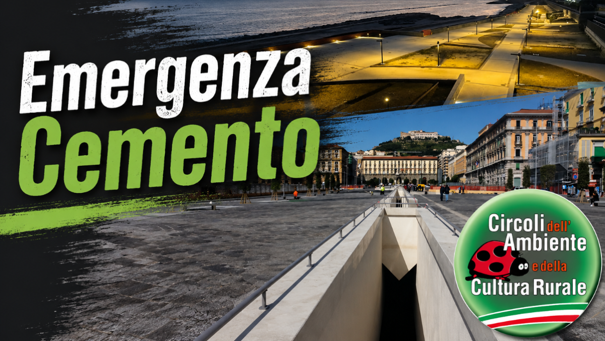 Campania tra cemento e clima: perché il verde urbano è la vera infrastruttura del futuro - 