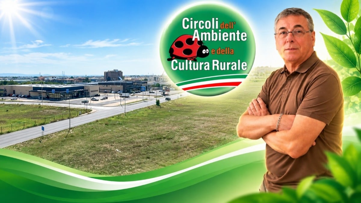 Meno cemento, più alberi: la ricetta di Domenico Testa per San Nicola la Strada - 