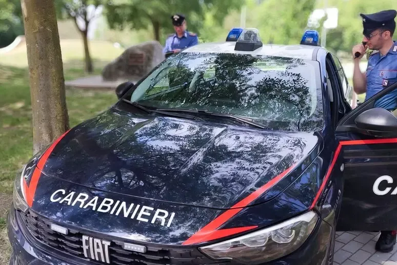 Malore mentre lavora in giardino, muore a 46 anni - 
