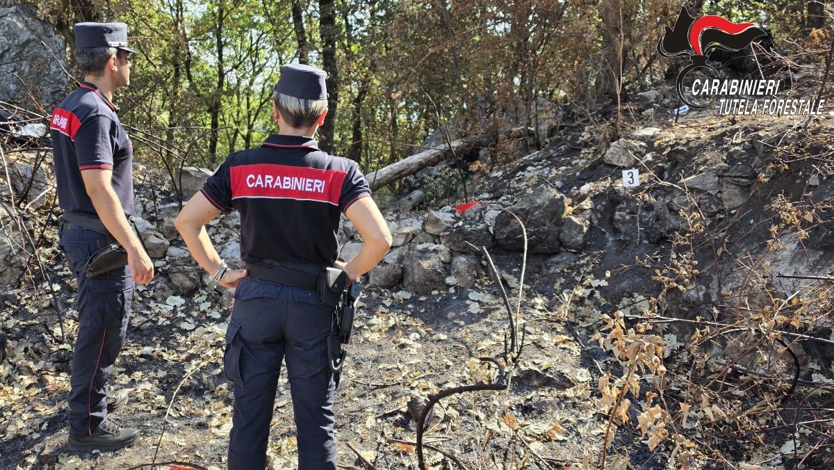 Incendi boschivi, controlli dei Carabinieri a Greci - 