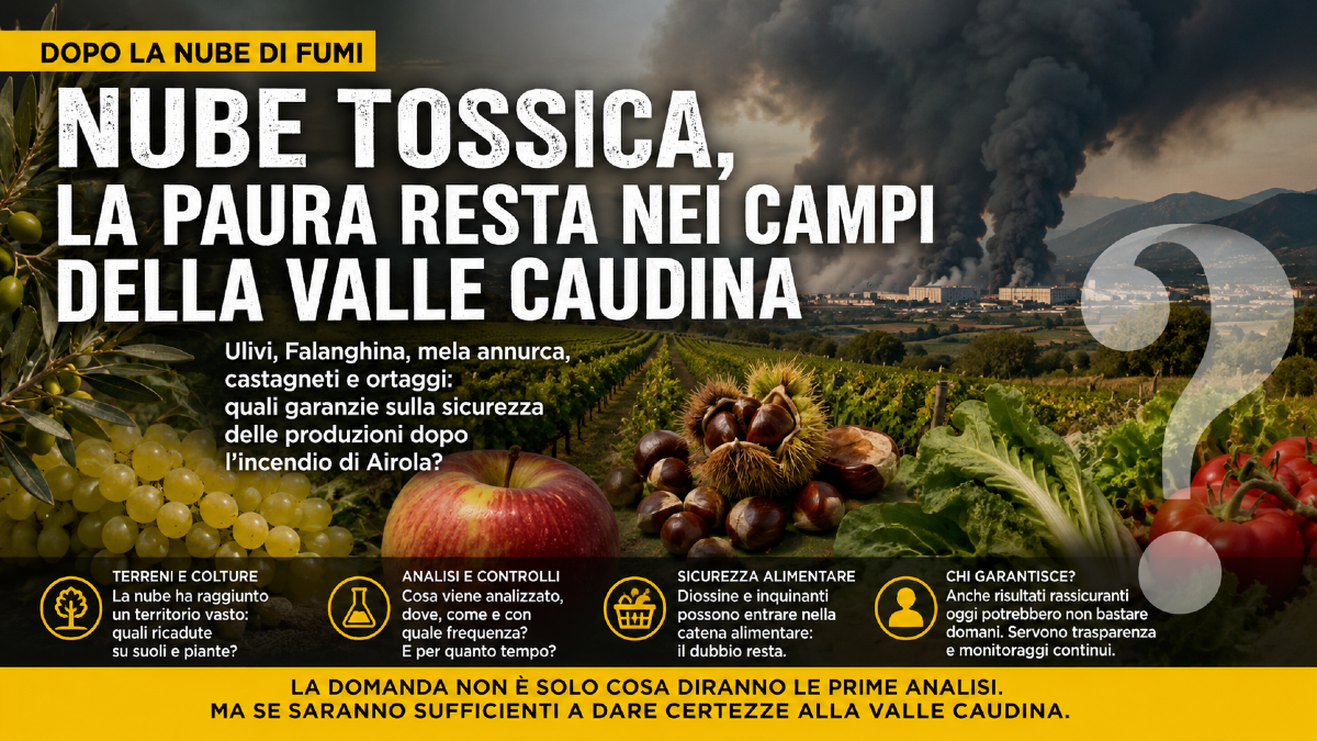 Nube tossica, la paura resta nei campi e nelle coltivazioni della Valle Caudina - 