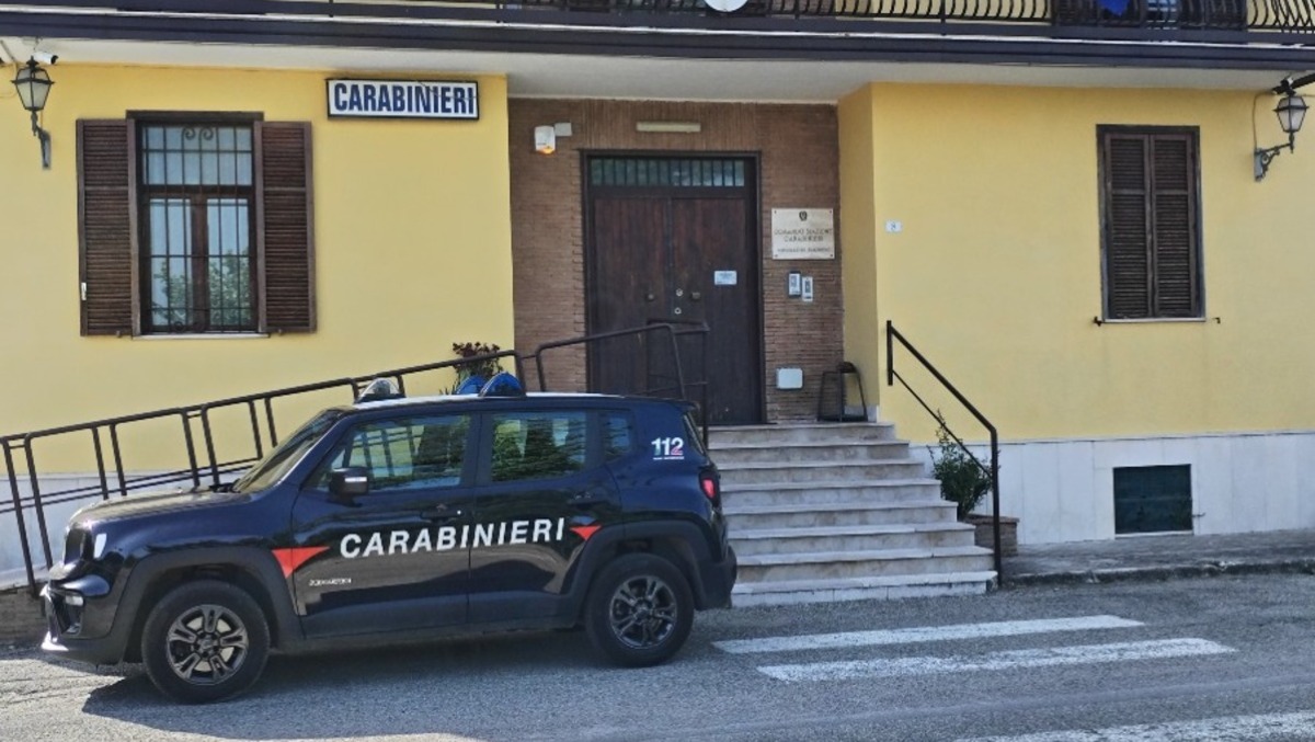 Animali in condizioni precarie, denunciata 38enne: sequestrato un cane - 