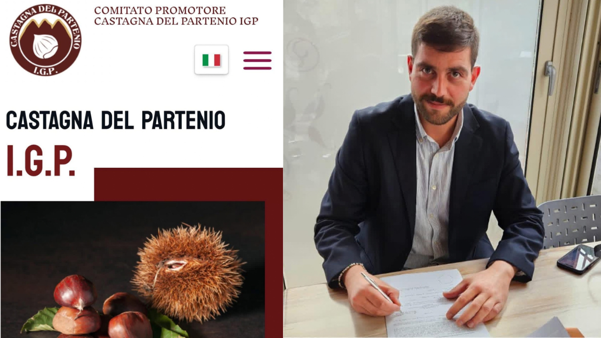 Castagna del Partenio, un passo storico verso l’IGP: l’orgoglio di Francesco Casale - 