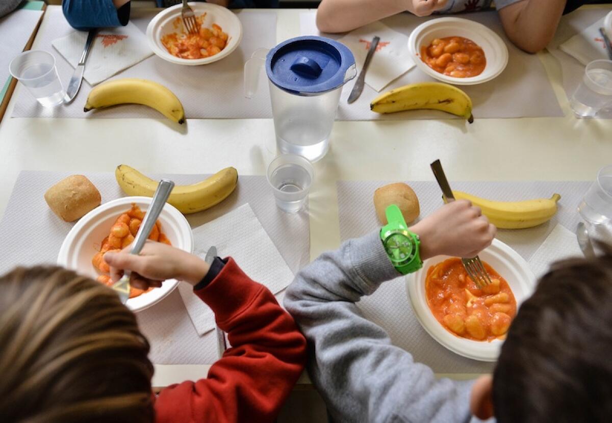 Mensa scolastica, chiuse le iscrizioni: il Comune di Benevento valuta altri 100 pasti - 