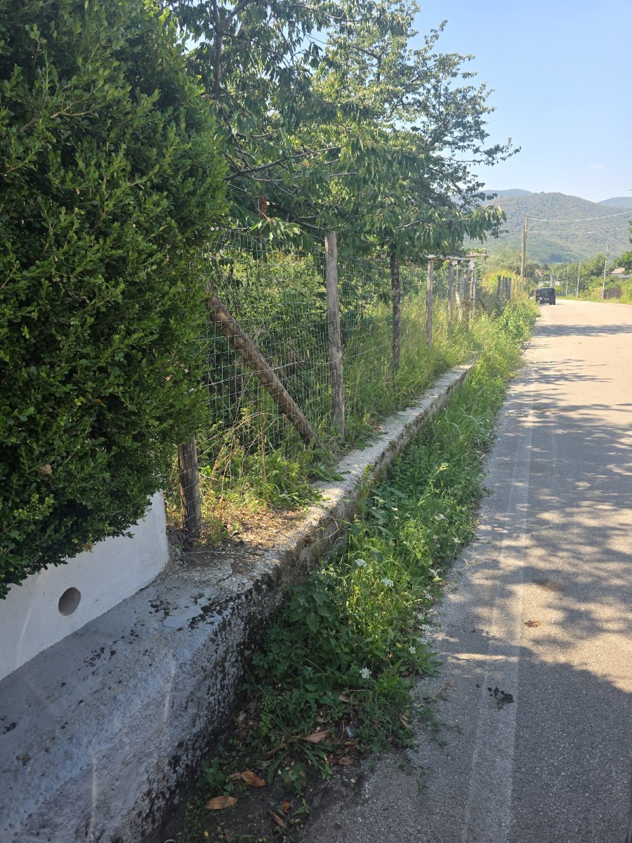Cervinara Zona alta