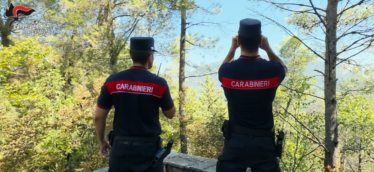 Irpinia: quattro persone denunciate per reati ambientali e sicurezza sul lavoro - 