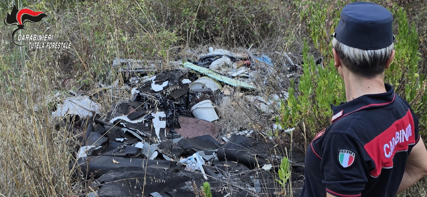 Controlli ambientali in Irpinia: sette denunce e tre sequestri - 