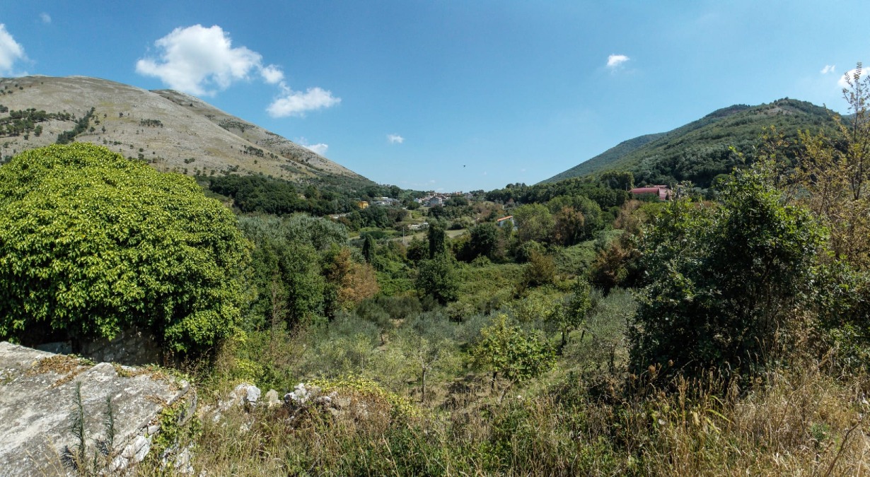Diossine in un campione di erba di un allevamento di Forchia.  - 