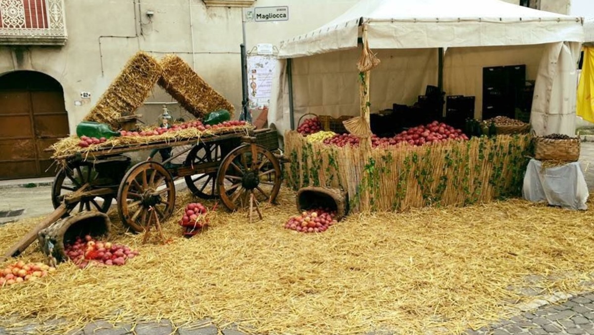 Valle di Maddaloni celebra la Mela Annurca - 