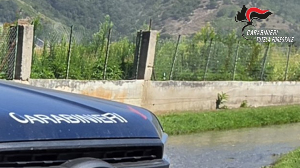 Piazzale realizzato con rifiuti edili sul demanio fluviale: due denunce e area sequestrata - 