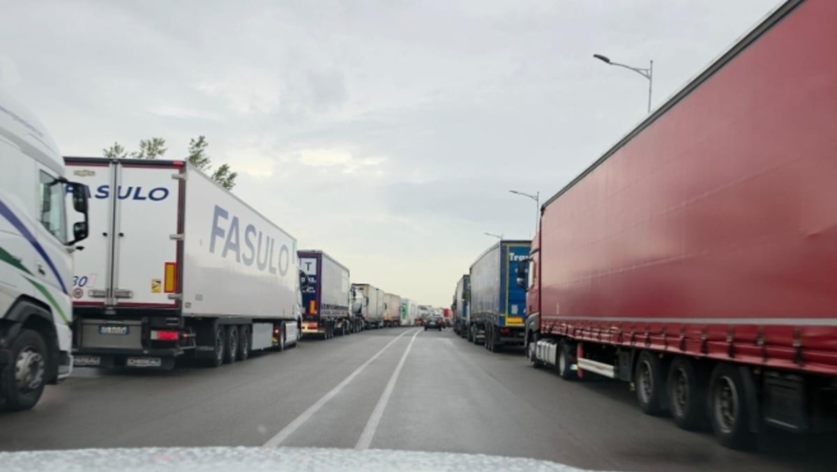 Se entro quattro giorni i camion non ripartono, i fiori di Ognissanti finiscono al macero - 