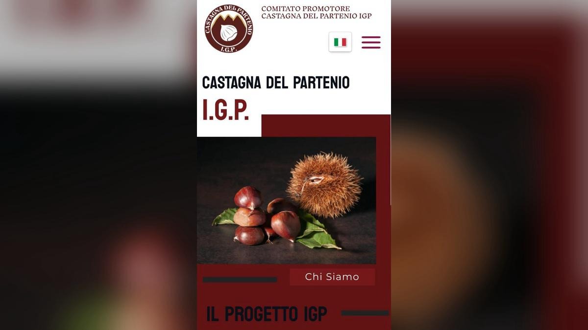 Castagna IGP Partenio: Casale, "Serve unità per il nostro futuro" - 